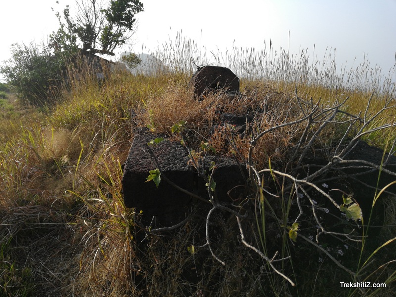 Madhu makarandgad